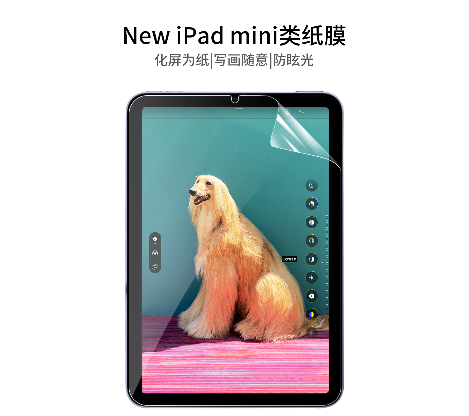 ipadmini类纸膜中文-_01.jpg